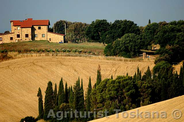 podere 012